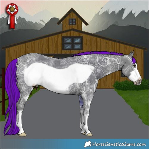 Horse Color:Painted Black Ice Sabino Frame Rabicano 