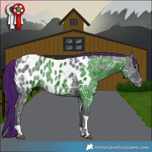 Horse Color:Painted Black Ice Tobiano Appaloosa Rabicano 