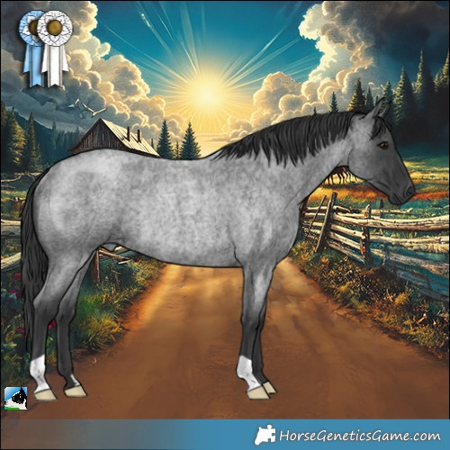 Horse Color:Blue Roan Mushroom Rabicano 