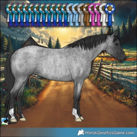 Horse Color:Blue Roan Mushroom Rabicano 