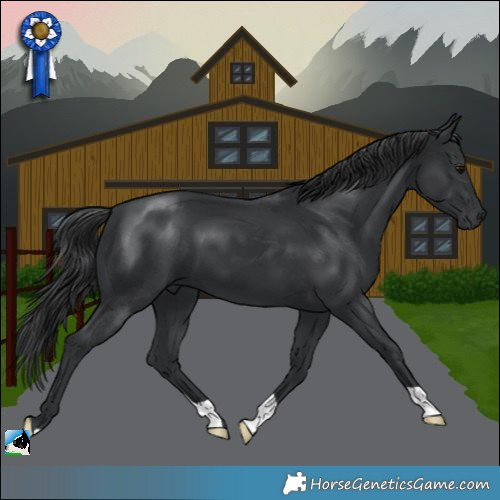 Horse Color:Black Mushroom 