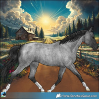 Horse Color:Blue Roan Mushroom