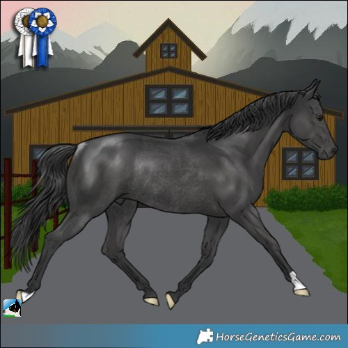 Horse Color:Black Mushroom Rabicano 