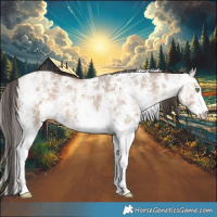 Horse Color:Sable Champagne Ice Dun Sabino 