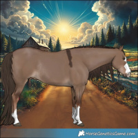 Horse Color:Liver Red Dun Rabicano 