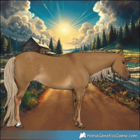 Horse Color:Chocolate Palomino Dun Rabicano 