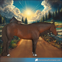 Horse Color:Liver Chestnut 