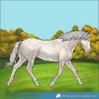 Horse Color:Silver Amber Cream Champagne Pearl