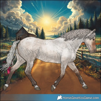 Horse Color:Silver Brown Roan Dun 
