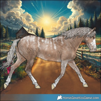 Horse Color:Powder White Silver Brown Dun