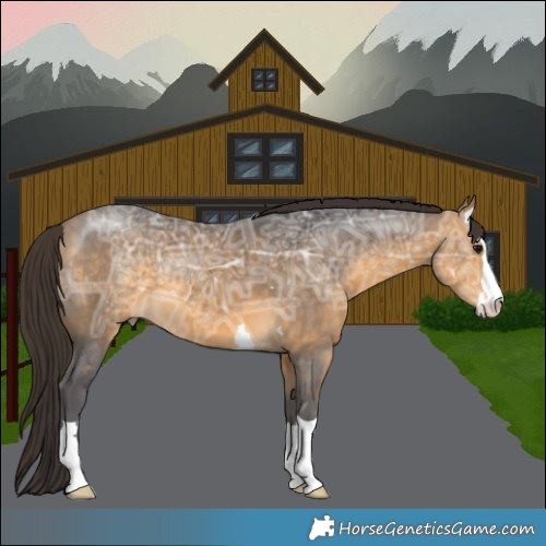 Horse Color:Buckskin Ice 