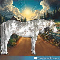 Horse Color:Brown Ice Sabino 