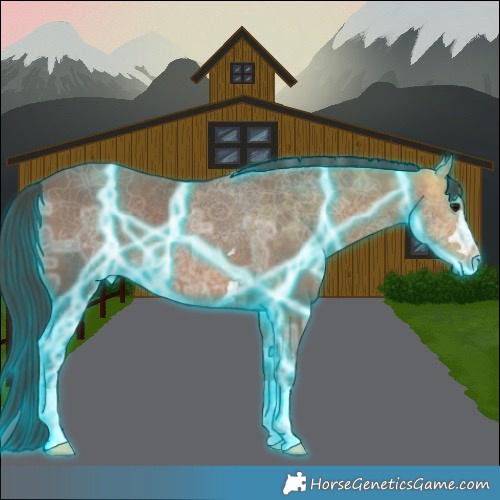 Horse Color:Thunderstruck Bay Ice 
