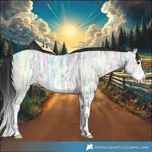 Horse Color:Brown Ice Sabino Splash 