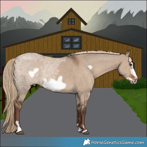 Horse Color:Liver Red Dun Ice Frame 
