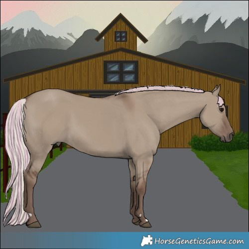 Horse Color:Painted Silver Grullo 