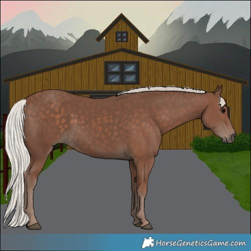 Horse Color:Silver Black 