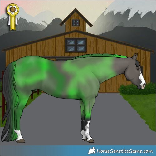 Horse Color:Grullo 
