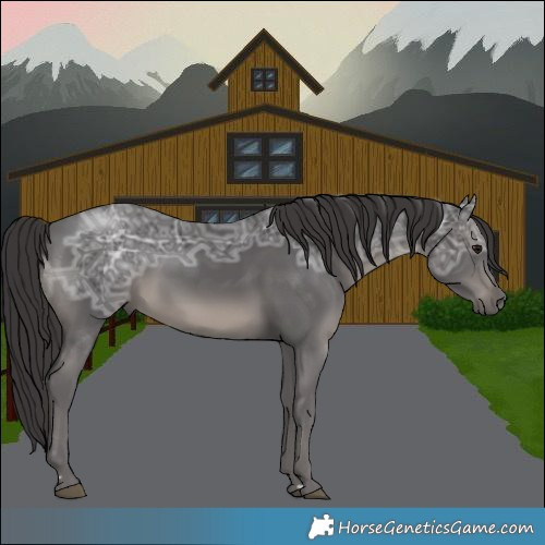 Horse Color:Smoky Black Ice Rabicano 