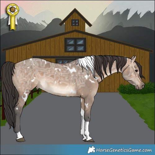 Horse Color:White Spotted Brown Ice Dun Tobiano 