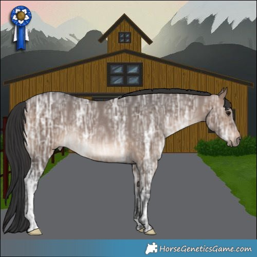 Horse Color:Brown Ice Dun Rabicano