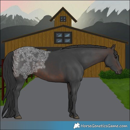 Horse Color:Brown Ice 