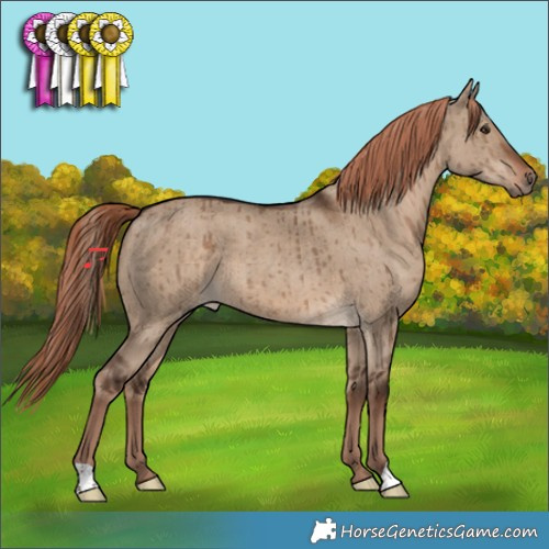 Horse Color:Liver Red Dun Brindle 