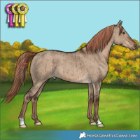Horse Color:Liver Red Dun Brindle