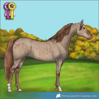 Horse Color:Liver Red Dun Brindle 