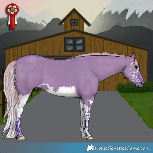Horse Color:Watercolor Liver Red Dun Splash 