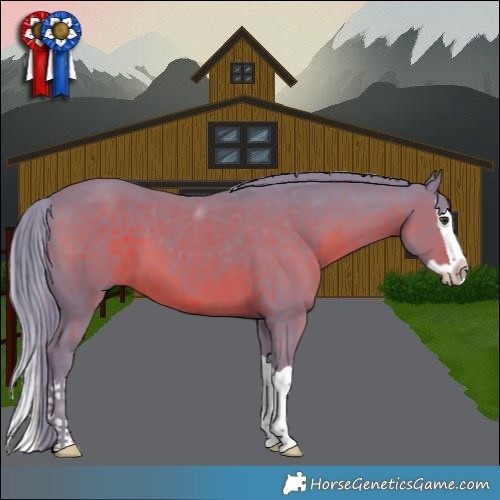 Horse Color:Watercolor Liver Chestnut Splash 