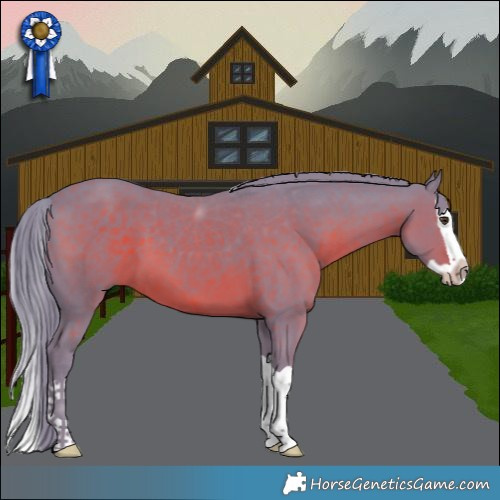 Horse Color:Watercolor Liver Chestnut Splash 
