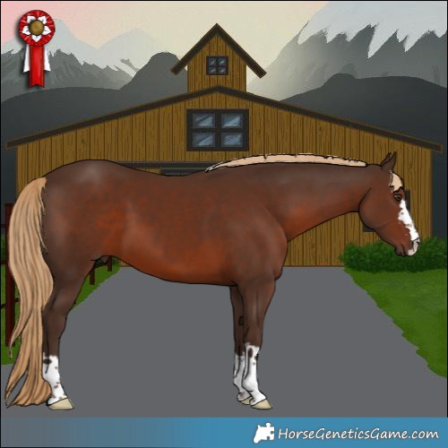 Horse Color:Liver Chestnut 