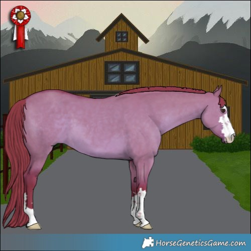 Horse Color:Watercolor Liver Red Dun 