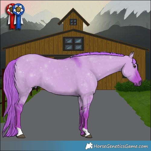 Horse Color:Watercolor Liver Red Dun 