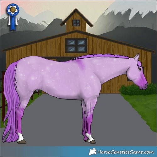 Horse Color:Watercolor Liver Red Dun