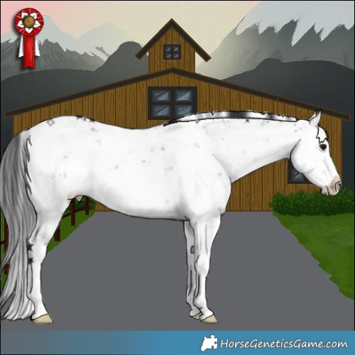 Horse Color:Brown Dun Sabino Brindle 