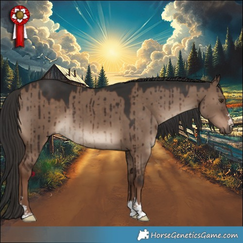 Horse Color:Liver Red Dun Brindle 