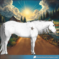 Horse Color:Grullo Sabino 