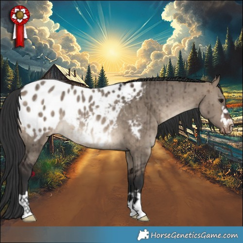 Horse Color:Brown Dun Appaloosa Rabicano Brindle 