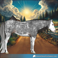 Horse Color:Liver Chestnut Ice Splash Rabicano 