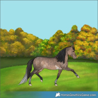Horse Color:Bay Dun Tobiano Varnish Rabicano 