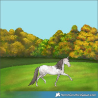 Horse Color:Platinum White Spotted Brown Pearl Dun Appaloosa Rabicano 