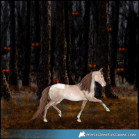 Horse Color:White Spotted Chocolate Bay Pearl Dun Mushroom Tobiano Appaloosa Rabicano