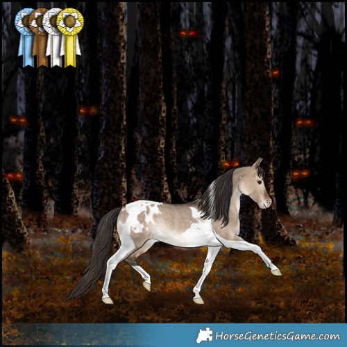 Horse Color:Bay Dun Tobiano Appaloosa Rabicano 