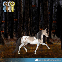 Horse Color:Bay Dun Tobiano Appaloosa Rabicano 
