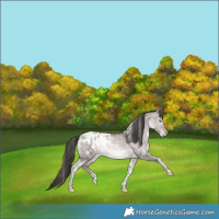 Horse Color:Platinum Brown Pearl Dun Tobiano Appaloosa Rabicano 