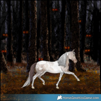 Horse Color:Chocolate Bay Dun Tobiano Snowcap Rabicano 