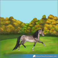 Horse Color:White Spotted Brown Dun Tobiano Varnish Rabicano 