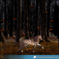 Horse Color:White Spotted Chocolate Brown Dun Rabicano